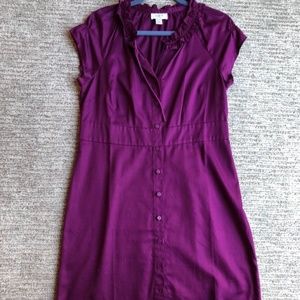 NWOT Ann Taylor loft dress